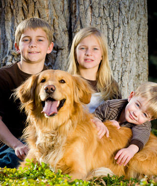 Kids with Golden Retriever Kids with Golden Retriever